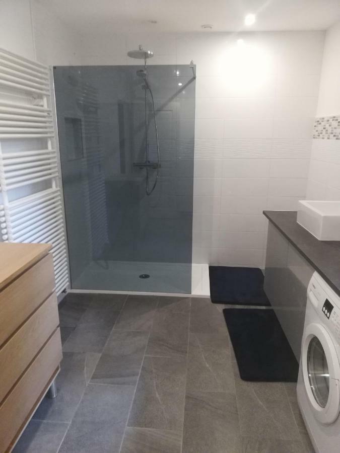 - Gite Appart Orchidee - Luneville - Sejour Famille Ou Pro - 2 Adultes & 2 Enfants Lunéville Exterior photo